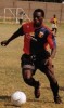 ScoutingNews 